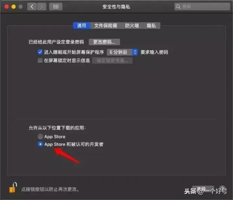 天眼通激活码与凤凰新闻官方下载在Mac版上的体验评测,功能差异、安装注意事项及优化体验