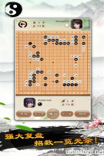 天顶围棋单机版和导航app官方下载,迅速设计解答方案&amp;顶级款_v8.169