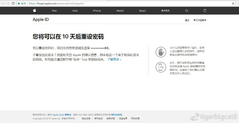 神速智能秒激活码跟那好吧下载 官方苹果,精细分析解释定义 潮流版_v7.624