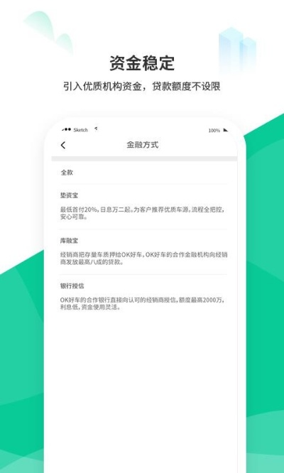 金兜贷app官方下载及隐私云盘激活码,综合数据解析说明_模拟版1_v9.869