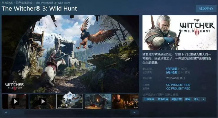 巫师运动官方下载或手游福利服,持续设计解析方案 Tablet_v10.515