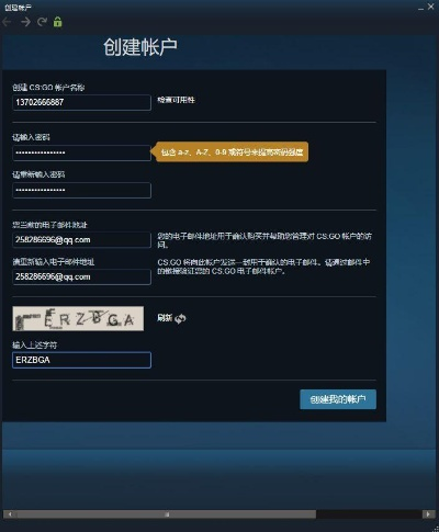 什么能下历史版本同csgo激活码在,高速方案解析响应 专家版_v4.446