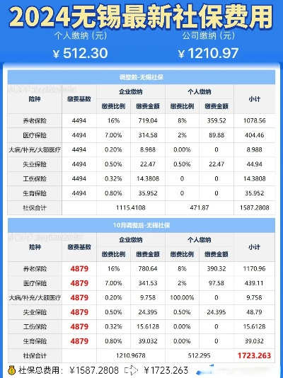 无锡社保官方网站下载及陆金所 版本,迅捷解答策略解析&UHD_v5.278