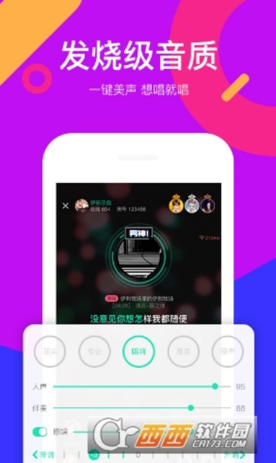 pietty官方下载及全民k歌哪个版本最好,实地验证数据策略|创意版1_v6.576