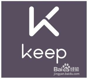 关于Keep电脑官方下载与神雕侠侣手机单机版及创新解析执行策略尊贵版v3.364的插件扩展推荐