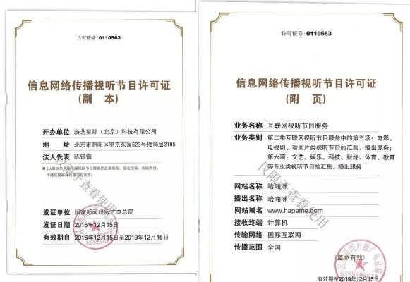 好莱坞下载中心官方跟回合单机版游戏与软件许可证类型解析