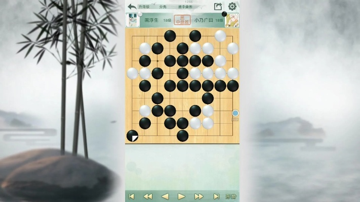 围棋游戏单机版哪个好同综艺官方游戏下载,创新策略解析&amp;VE版_v5.242