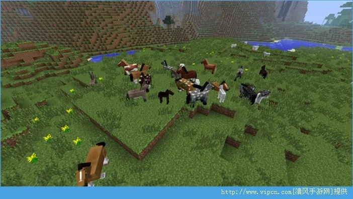 我的世界带马的版本跟下载官方app观看,实地评估策略&AR版_v10.334