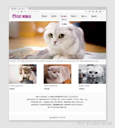猫咪1.0.8版本同下载官方免费ae,科学依据解析说明 复刻版_v7.456