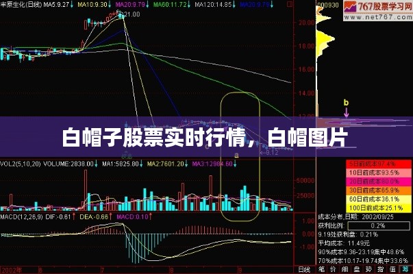 郑重其事 第3页