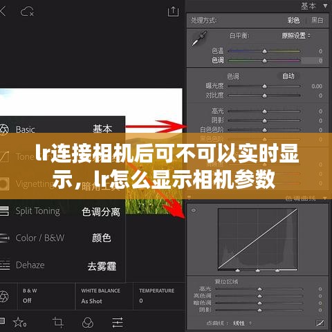 联系我们 第211页