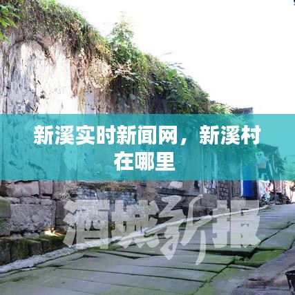 技术支持 第216页