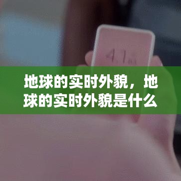 关于我们 第203页
