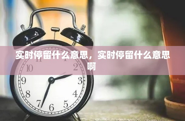 实时停留什么意思，实时停留什么意思啊 