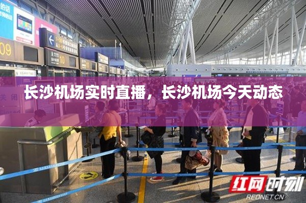 长沙机场实时直播，长沙机场今天动态 