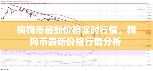 手不释卷 第3页