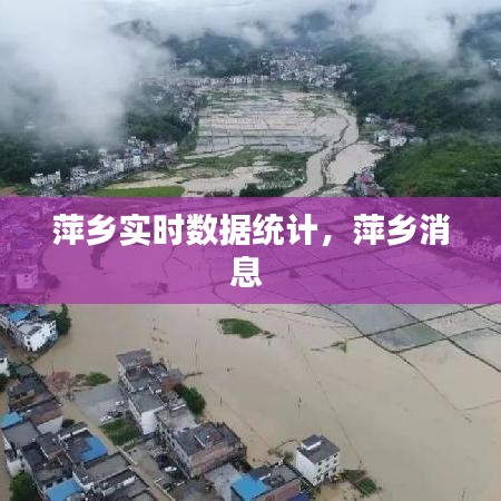 萍乡实时数据统计，萍乡消息 