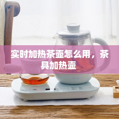 实时加热茶壶怎么用，茶具加热壶 