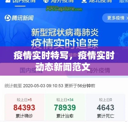 服务项目 第204页