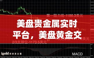 美盘贵金属实时平台，美盘黄金交易 
