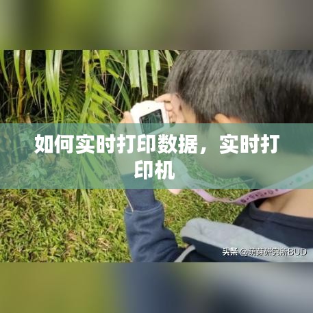 如何实时打印数据，实时打印机 