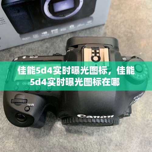 服务项目 第201页