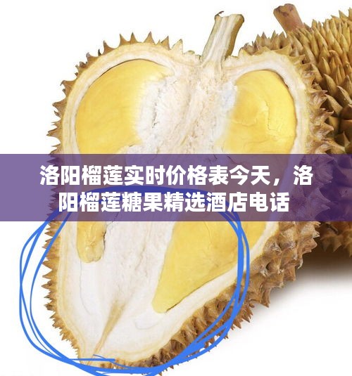 指手画脚 第3页