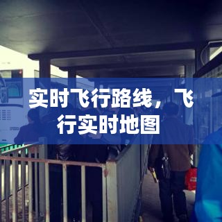 绝无仅有 第3页