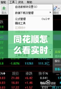 同花顺怎么看实时动态，同花顺怎么看ene 