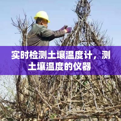 司空见惯 第3页