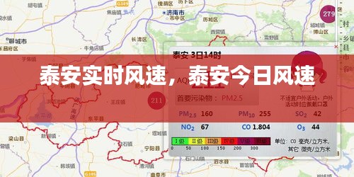 虫言鸟迹 第3页