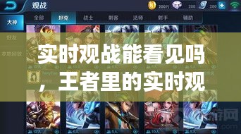 实时观战能看见吗，王者里的实时观战是什么意思 
