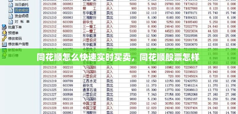 龙飞九五 第2页