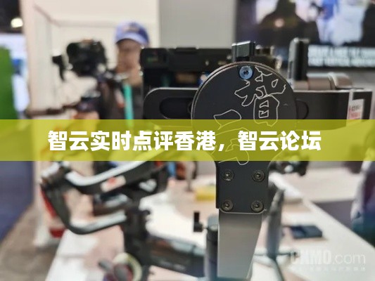 智云实时点评香港，智云论坛 