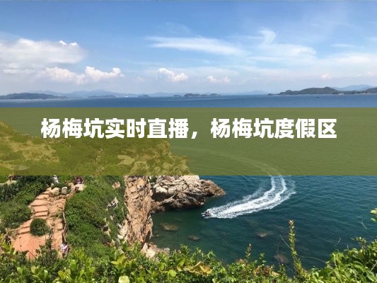 杨梅坑实时直播，杨梅坑度假区 