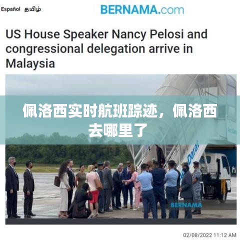 佩洛西实时航班踪迹，佩洛西去哪里了 