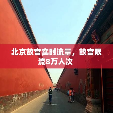 明目张胆 第2页