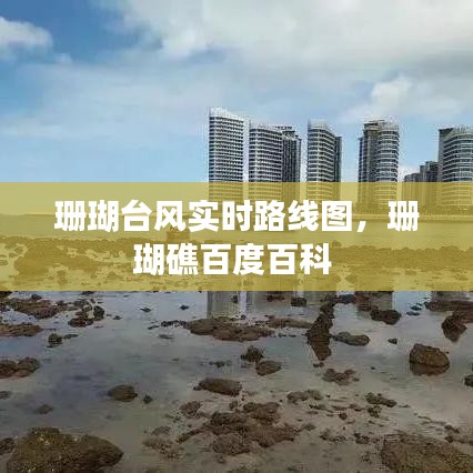 珊瑚台风实时路线图，珊瑚礁百度百科 