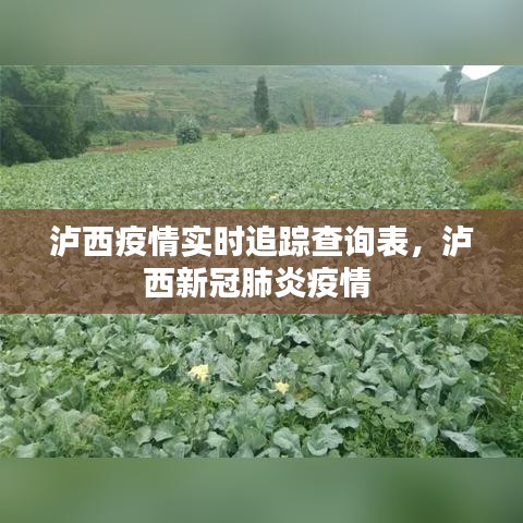 泸西疫情实时追踪查询表，泸西新冠肺炎疫情 