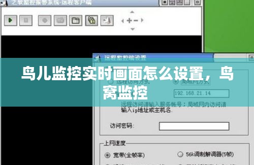 鸟儿监控实时画面怎么设置，鸟窝监控 