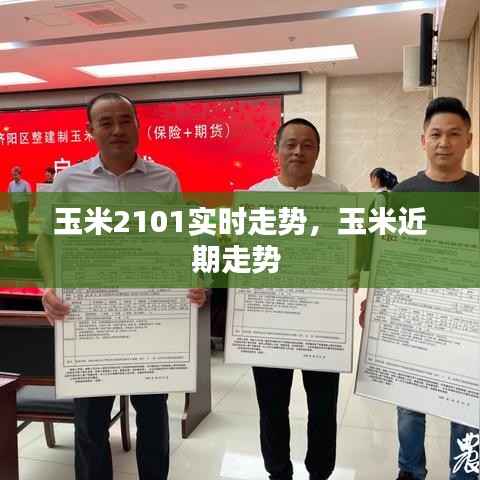 玉米2101实时走势，玉米近期走势 