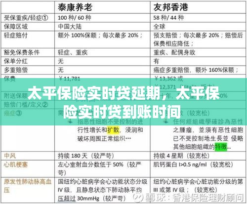 太平保险实时贷延期，太平保险实时贷到账时间 