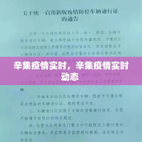 辛集疫情实时，辛集疫情实时动态 
