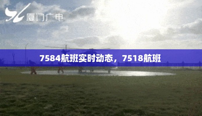 临危不惧 第3页
