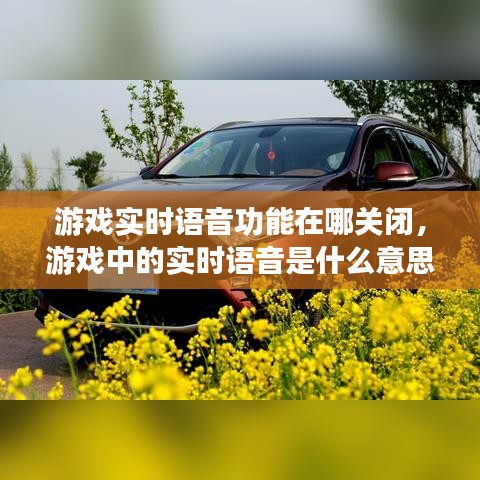 游戏实时语音功能在哪关闭，游戏中的实时语音是什么意思 