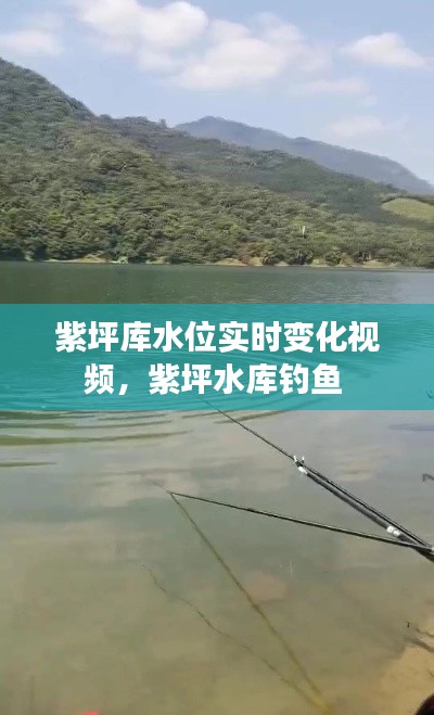 飞扬拨扈 第2页