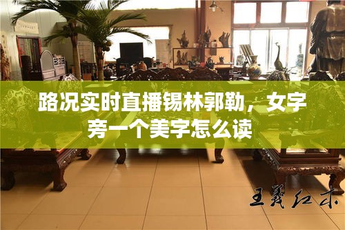 唾沫横飞 第2页