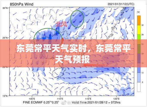铁石心肠 第2页