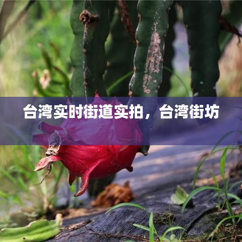 推襟送抱 第2页
