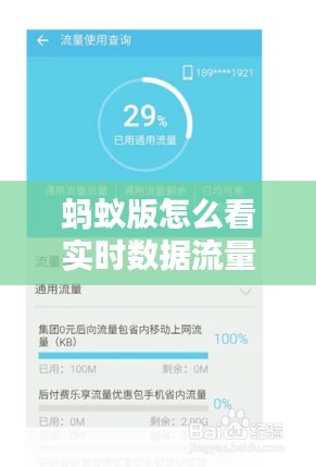 蚂蚁版怎么看实时数据流量，蚂蚁会员流量钱包在哪里看 
